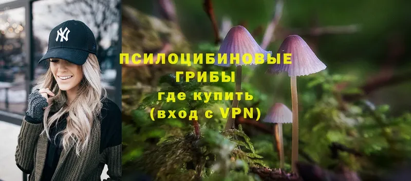 darknet официальный сайт  Миллерово  Псилоцибиновые грибы Psilocybine cubensis 